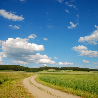 Weg-c-Waldviertel-Tourismus_Reinhard-Mandl